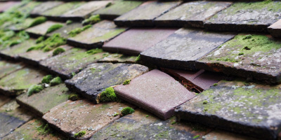 Bolahaul Fm roof repair costs